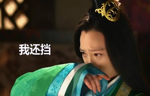 魏美人智商不够遭陷害