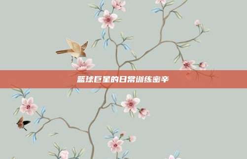 篮球巨星的日常训练密辛