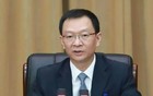 张巍任河南省委副书记