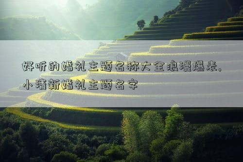 好听的婚礼主题名称大全浪漫爆表,小清新婚礼主题名字