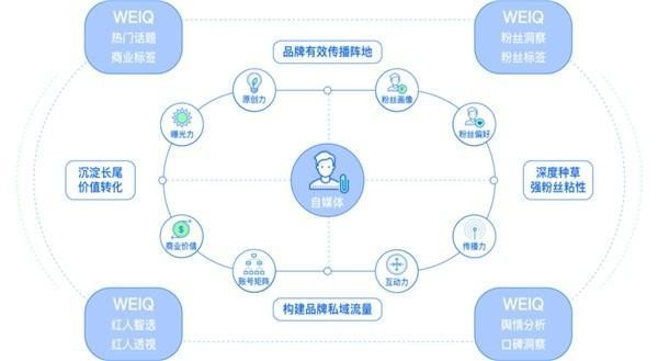 WEIQ红人营销平台