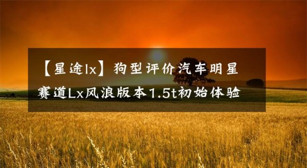 【星途lx】狗型评价汽车明星赛道Lx风浪版本1.5t初始体验(1次)文章配图
