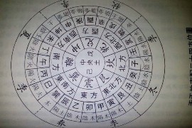 处女座的性格，深入解析与理解