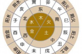 水瓶座今日运势大揭秘，星座屋独家解析