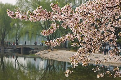 今日黑料-91吃瓜首页,明星私生活大曝光引发全网热议与讨论-3