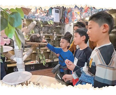 老商街“圈粉”年轻人（消费视窗·一条街一座城）