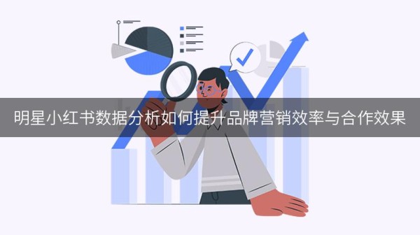 明星小红书数据分析如何提升品牌营销效率与合作效果