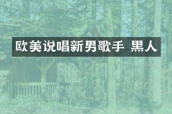 欧美说唱新男歌手 黑人