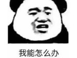 文娱圈最新爆料浩繁明星正在内吃瓜拿走不谢哈值得一看(51吃瓜。world张津瑜蘑菇),内娱又出大瓜了!罗姓闻名歌手被爆料截图不胜入目“玩太花”