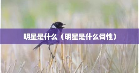 明星是什么（明星是什么词性）
