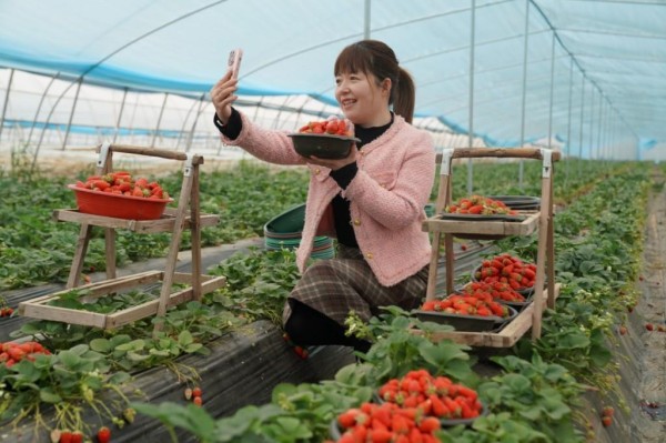 基层干部化身“带货主播”助力农产品“出圈”