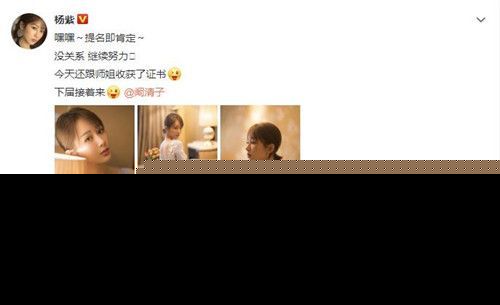 杨紫回应金鹰节未获奖说了什么 杨紫未获奖怎么回事