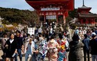 日本酒店的价格，如今贵到啥程度