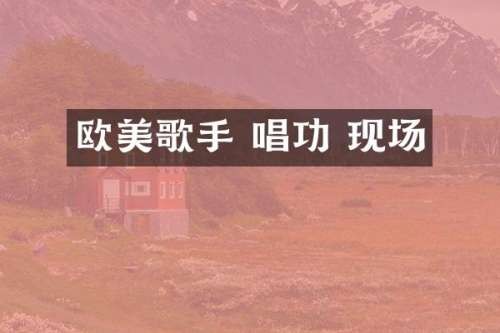 欧美歌手 唱功 现场