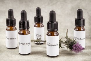 揭秘漱口水界的明星品牌！漱口水品牌排行前十名大揭秘