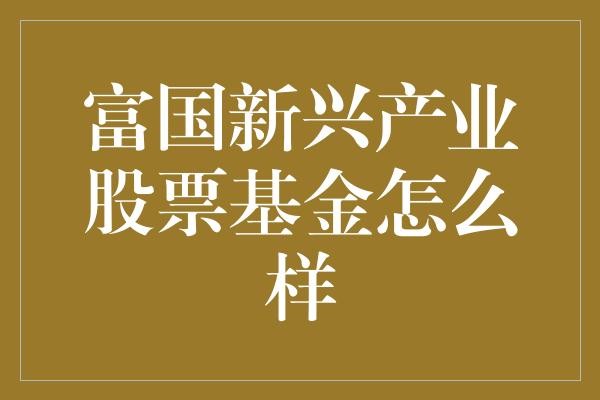  富国新兴产业股票基金：理财界的摇滚明星