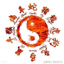 揭秘:十二生肖名人的星盘奥秘!