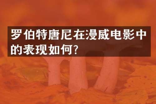 罗伯特唐尼在漫威电影中的表现如何？