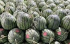 大跳水！已暴跌近50%，未来还会跌……