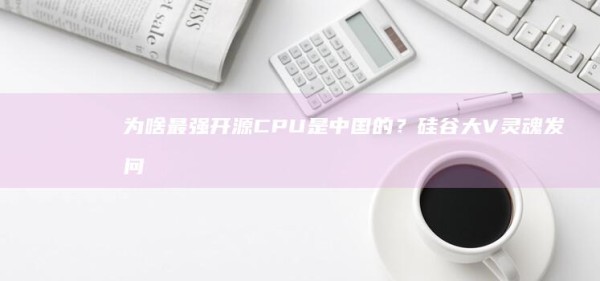 Why is the strongest open source CPU Is it from China?Silicon Valley V The soul asked questions, shocked 500,000 people to watch online | processor |risc|linux| Open source cpu| Big language model 