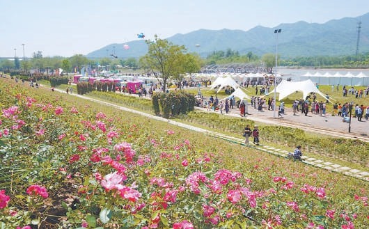 京西月季洲主场开展河岸市集等系列项目。