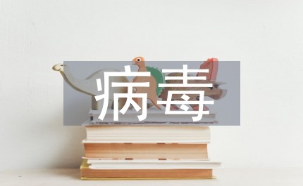 网络时代病毒式营销口碑传播研究