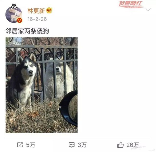 这些明星很“奇葩”，好好的明星不当，非要去抢搞笑博主的饭碗