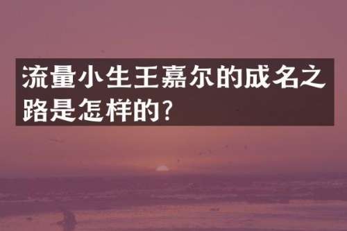 流量小生王嘉尔的成名之路是怎样的？