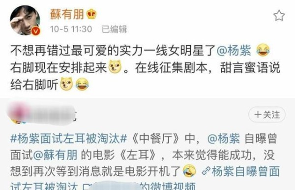 杨紫自爆试镜左耳被刷，苏有朋幽默回应，却被指是在暗讽杨紫
