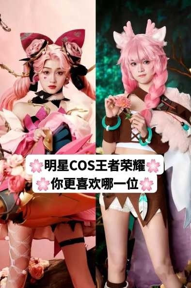 王者荣耀上综艺的人多吗？这些明星嘉宾都有谁？-第1张图片-5440游戏网