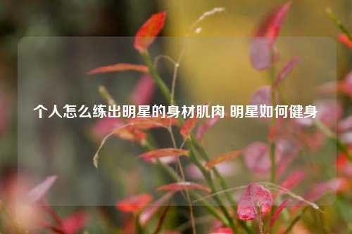 个人怎么练出明星的身材肌肉 明星如何健身
