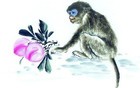 下周大运来袭：三大生肖逆袭成大器，平凡人生创辉煌