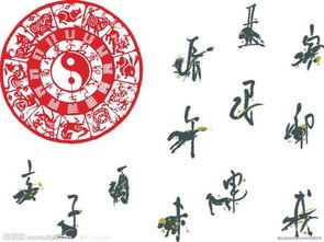 揭秘十二生肖星座运势：掌握相位好坏，好运自然来！