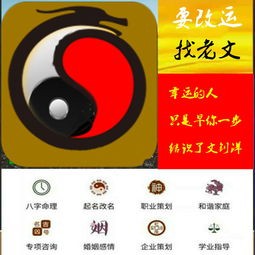 八字代表宫位