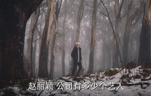  赵丽颖 公司有多少个艺人