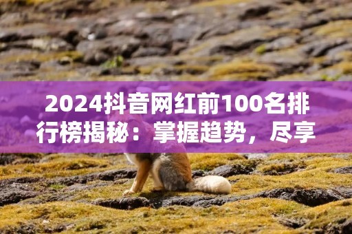 2024抖音网红前100名排行榜揭秘：掌握趋势，尽享流量红利