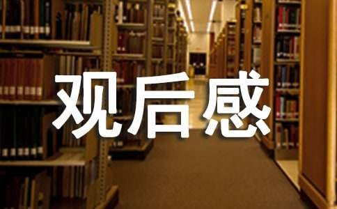 心理疏导观后感范文（通用13篇）