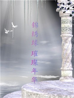 锦绣缘璀璨年华