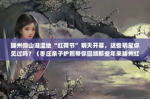 滕州微山湖湿地“红荷节”明天开幕，这些明星你见过吗？（枣庄亲子护照带你回顾那些年来滕州红荷节的明星）