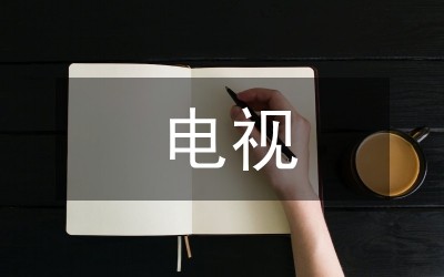 电视市场转向管理论文