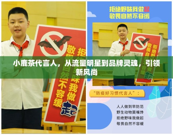 小鹿茶代言人，从流量明星到品牌灵魂，引领新风尚