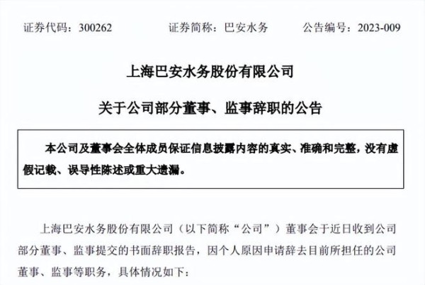 巴安水务人事大变动，曾因信披违规被处罚