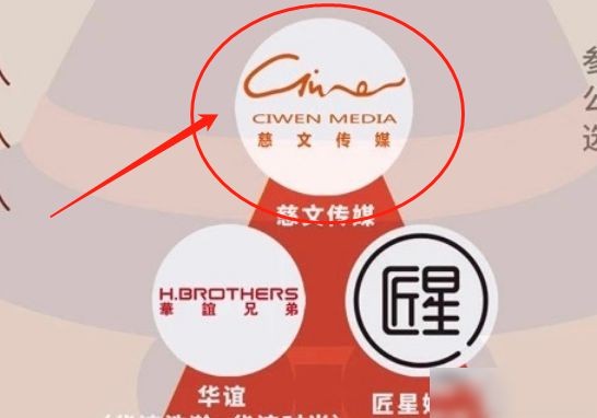 经纪公司金字塔图，李飞杜华龙丹妮并列，有个公司排第五引热议