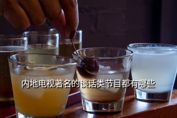 内地电视著名的谈话类节目都有哪些
