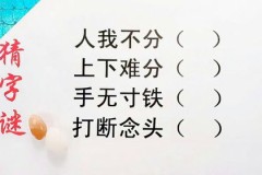 人我不分谜底是什么,人我不分，揭秘谜底奥秘”