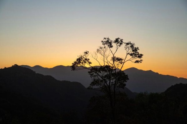 百度黄山音乐节开唱即巅峰