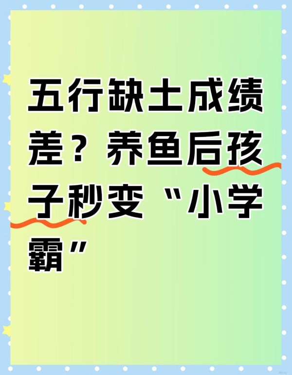 2024厦门演唱会全攻略