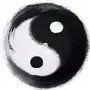 娱乐圈里最低调的星二代，大家都不知道，她的父亲是陈道明
