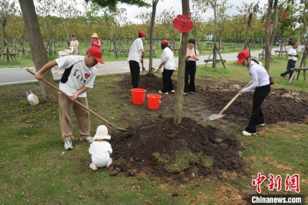 广东茂名 “520·我爱荔”集体婚礼系列活动甜度拉满