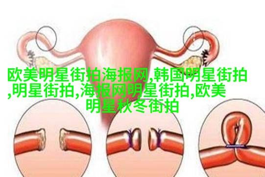星光闪耀的时尚舞台明星街拍穿搭技巧解析